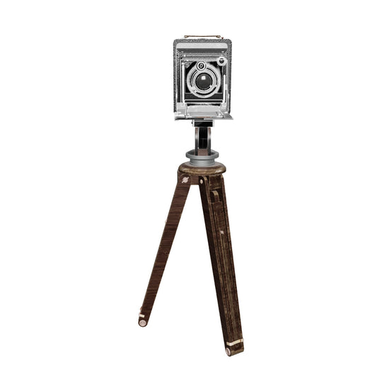 The Timeless Lens - Vintage Edition